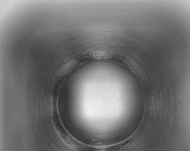 X0000054410690200508051740