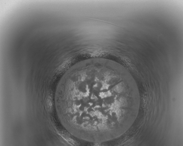 X0000054410691200508051740