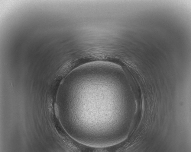 X0000054410693200508051740