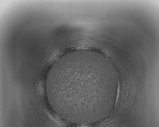 X0000054410695200508051740