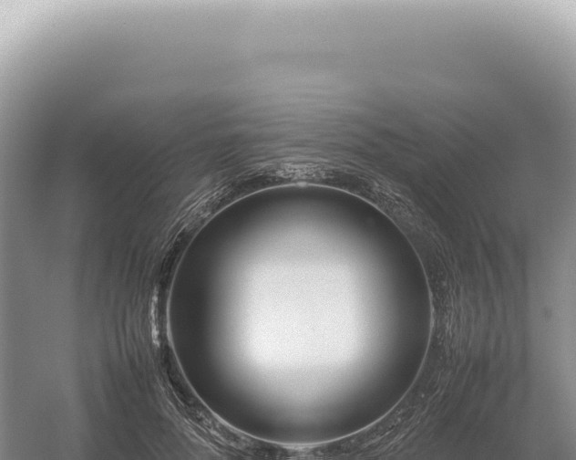 X0000054410696200508051740