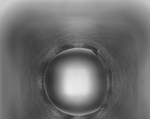 X0000054410697200508051740