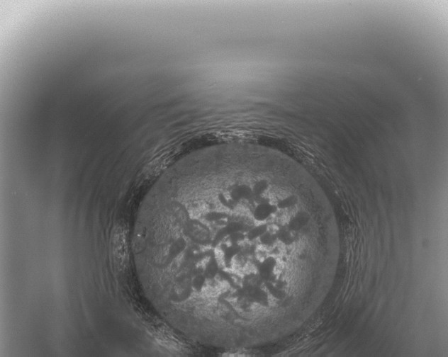 X0000054410699200508051740