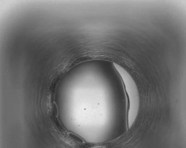 X0000054410700200508051740