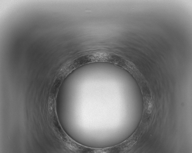 X0000054410701200508051740