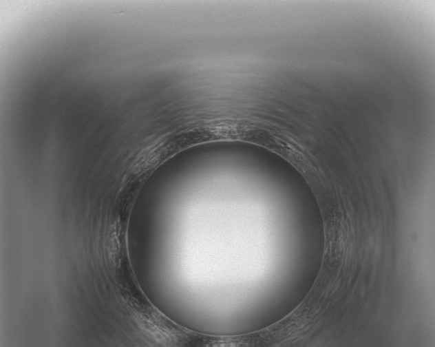 X0000054410702200508051740