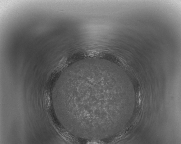 X0000054410703200508051740