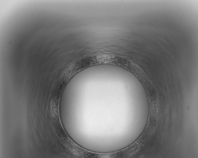 X0000054410705200508051740