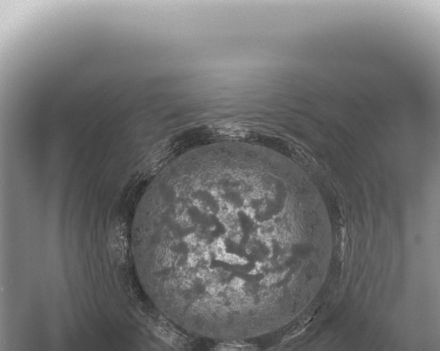 X0000054410707200508051740