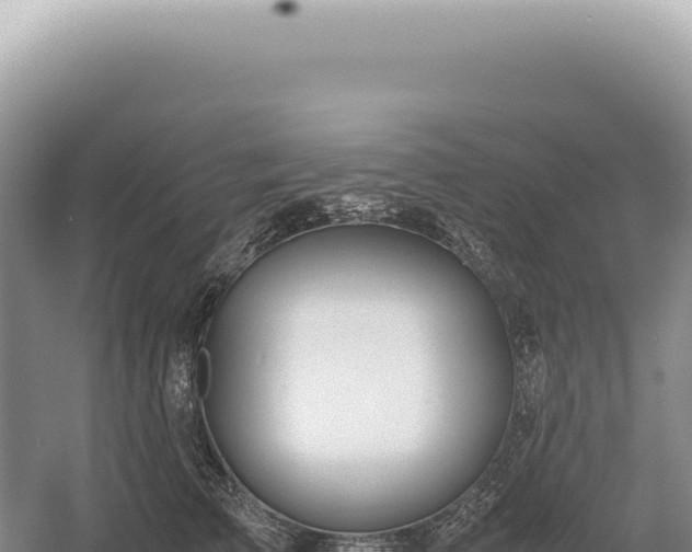 X0000054410709200508051740