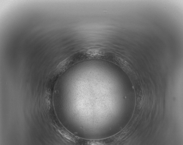 X0000054410710200508051740