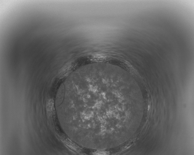 X0000054410711200508051740