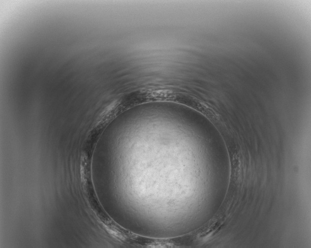 X0000054410712200508051740