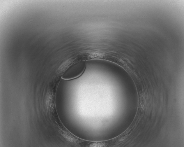 X0000054410714200508051740