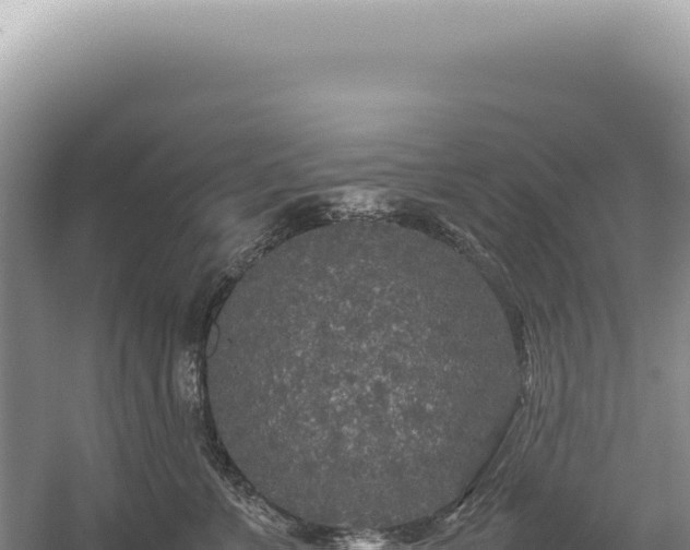 X0000054410715200508051740