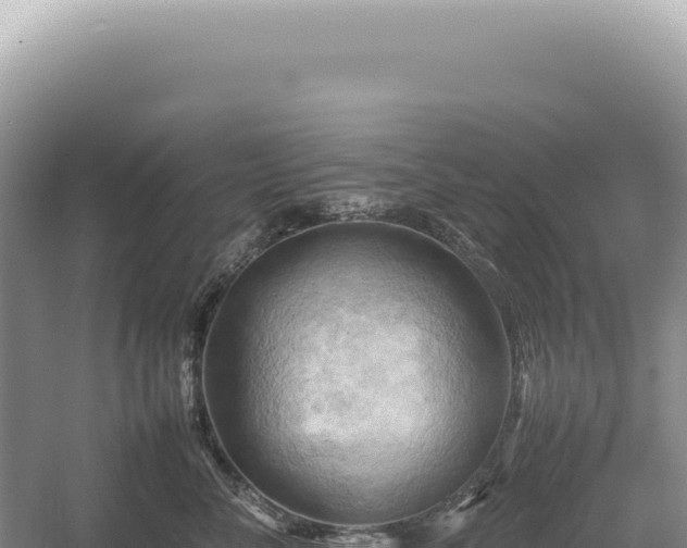 X0000054410716200508051740