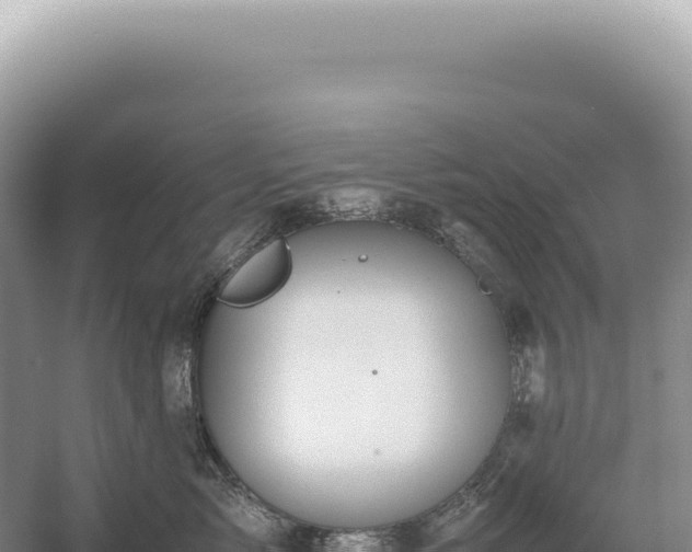 X0000054410717200508051740