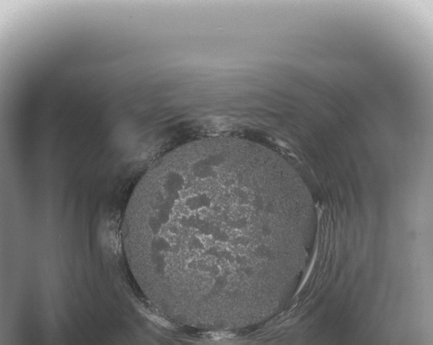 X0000054410719200508051740