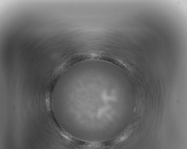 X0000054410720200508051740