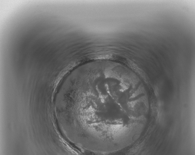 X0000054410721200508051739