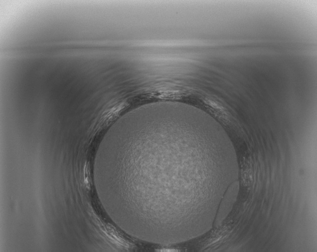 X0000054410748200508051739