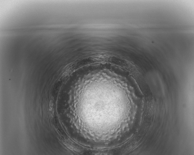 X0000054410749200508051739