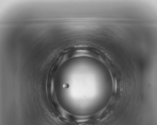 X0000054410750200508051739