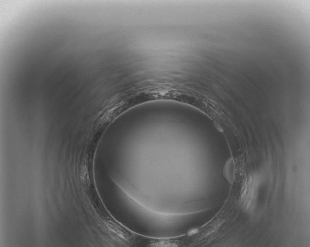 X0000054410754200508051739