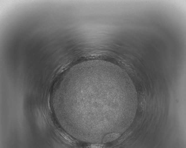 X0000054410758200508051739