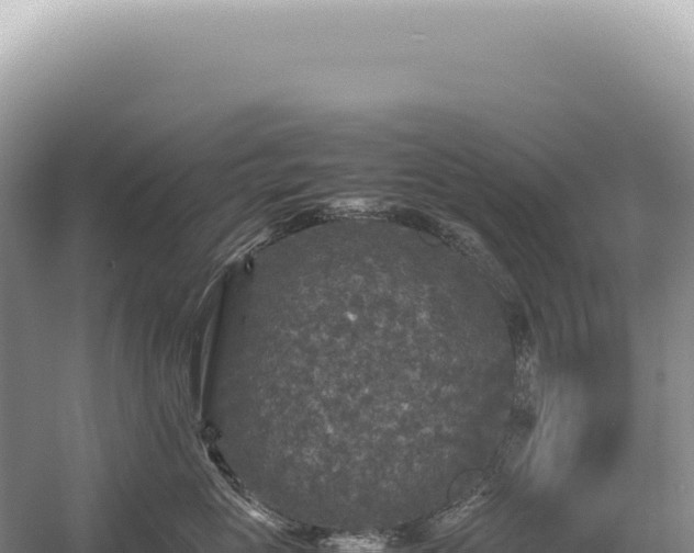 X0000054410765200508051739