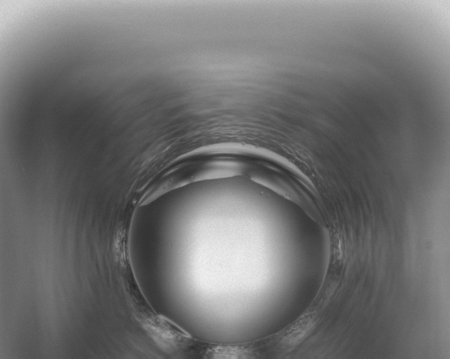 X0000054410766200508051739