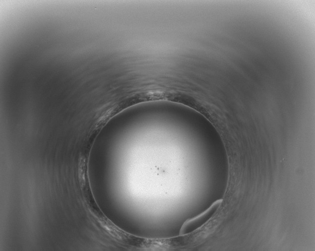 X0000054410768200508051740