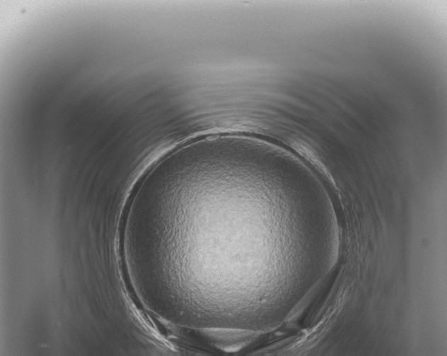X0000054410797200508051738