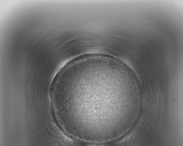 X0000054410831200508051737