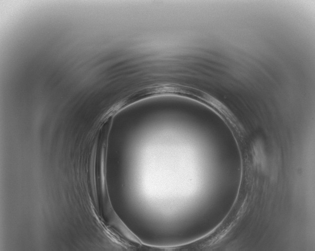 X0000054410857200508051738