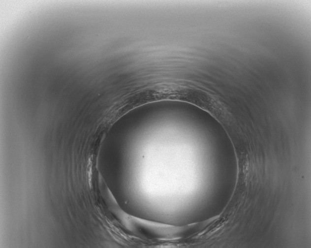 X0000054410868200508051737