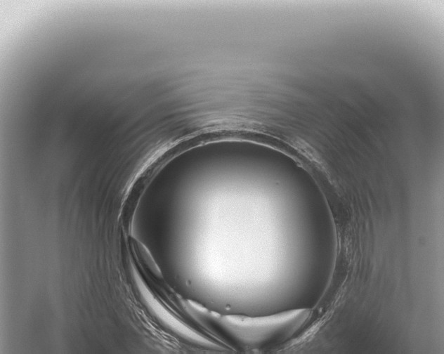 X0000054410877200508051737