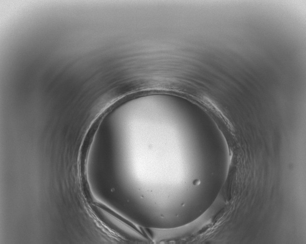 X0000054410884200508051737