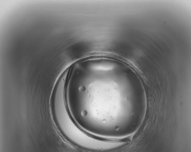 X0000054410891200508051737