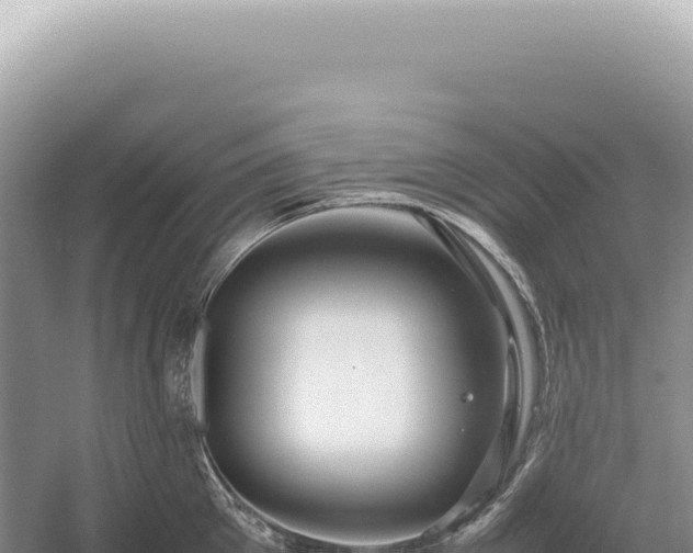 X0000054410905200508051736