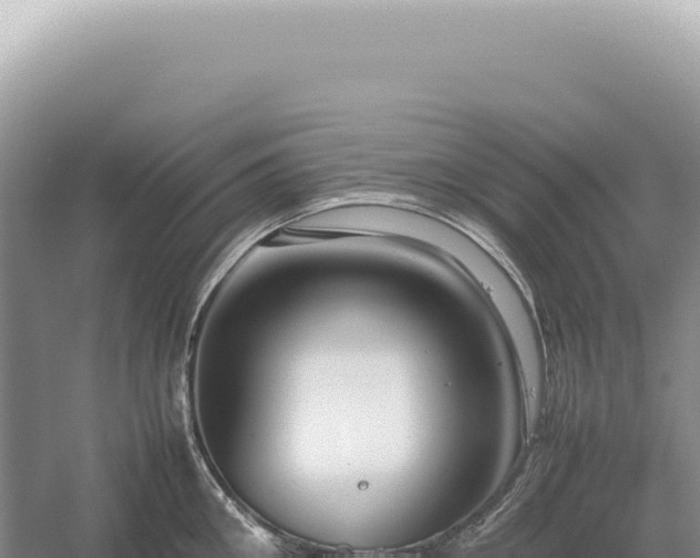 X0000054410906200508051736