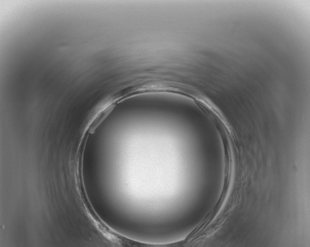 X0000054410909200508051736