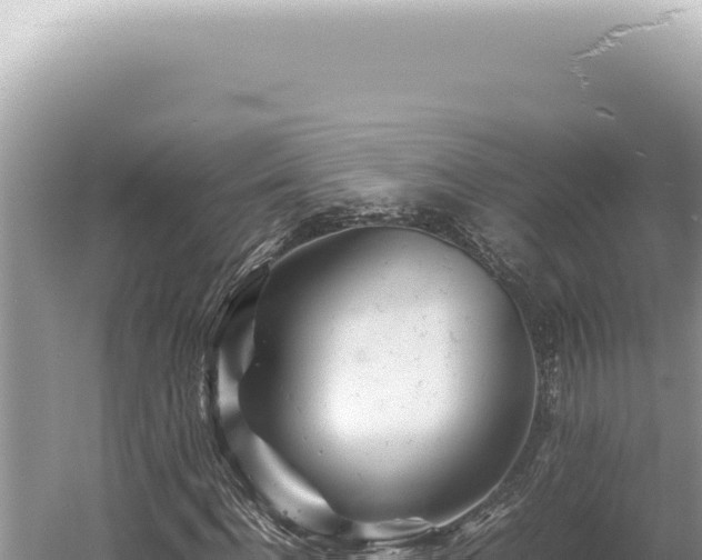 X0000054410916200508051736