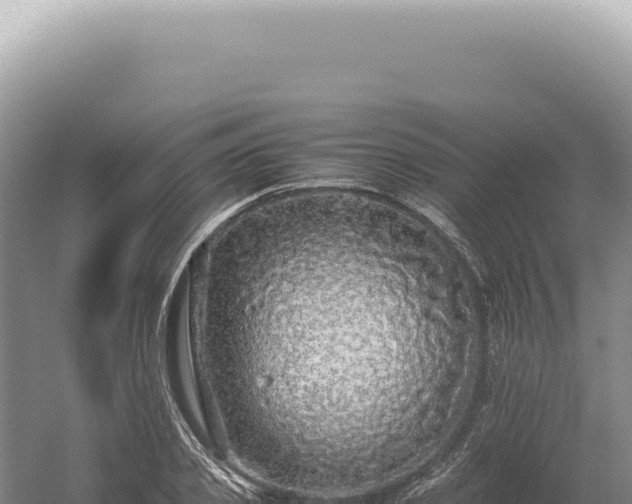 X0000054410933200508051736