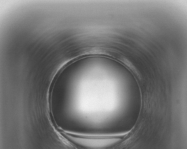 X0000054410988200508051735