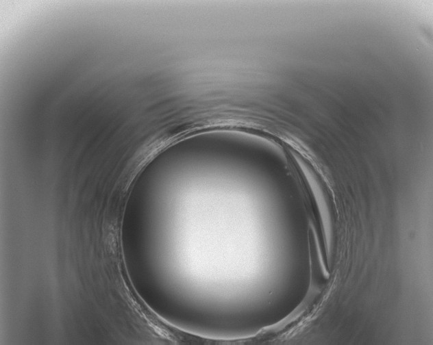 X0000054410993200508051735