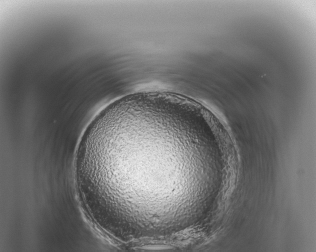 X0000054411008200508051735