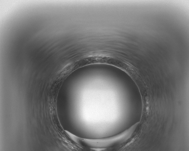 X0000054411014200508051734