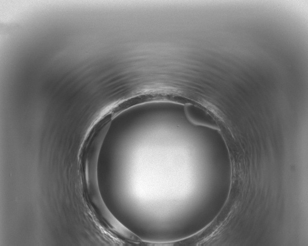 X0000054411022200508051734