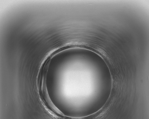 X0000054411030200508051734